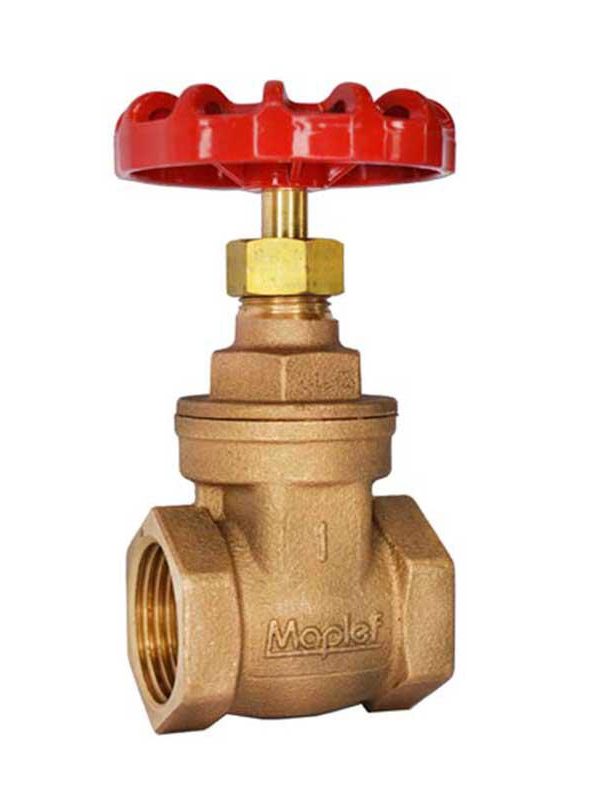 WhatsApp Image 2024-12-06 at 06.42.09 (2)